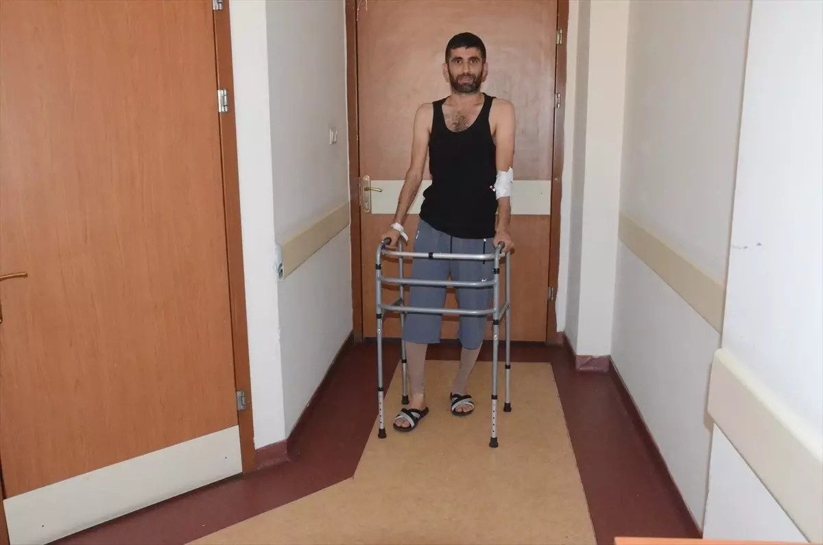 Dizindeki Kitlelerden Kurtuldu