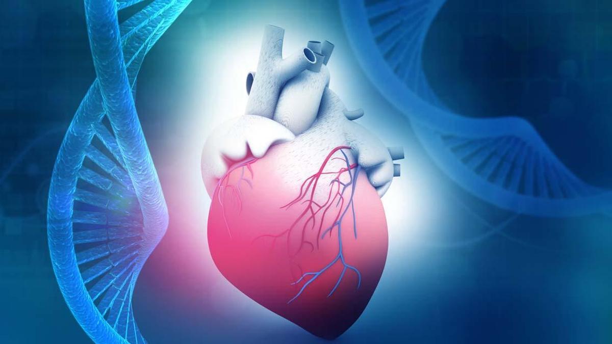 Kardiyoloji uzmanları uyardı: Aort yırtılmasında bu yaş aralığına dikkat! Kimler risk altında?